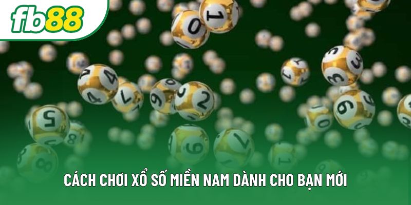 Cách chơi xổ số miền nam dành cho bạn mới Cách chơi xổ số miền nam dành cho bạn mới