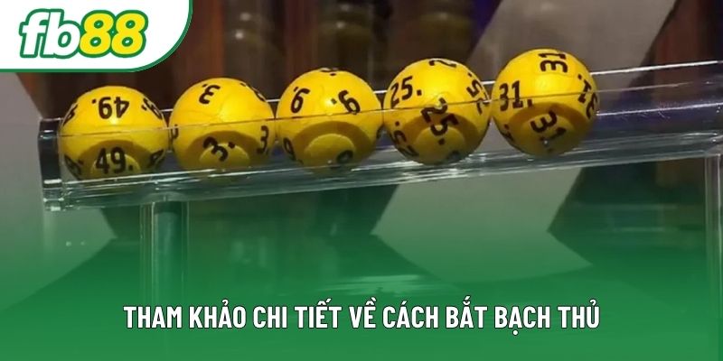 Tham khảo chi tiết về cách bắt bạch thủ Tham khảo chi tiết về cách bắt bạch thủ