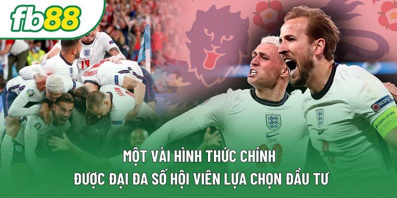 Một vài hình thức chính được đại đa số hội viên lựa chọn đầu tư Một vài hình thức chính được đại đa số hội viên lựa chọn đầu tư