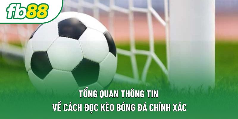 Tổng quan thông tin về cách đọc kèo bóng đá chính xác Tổng quan thông tin về cách đọc kèo bóng đá chính xác