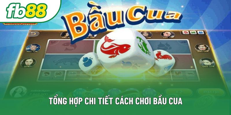 Tổng hợp chi tiết cách chơi bầu cua Tổng hợp chi tiết cách chơi bầu cua